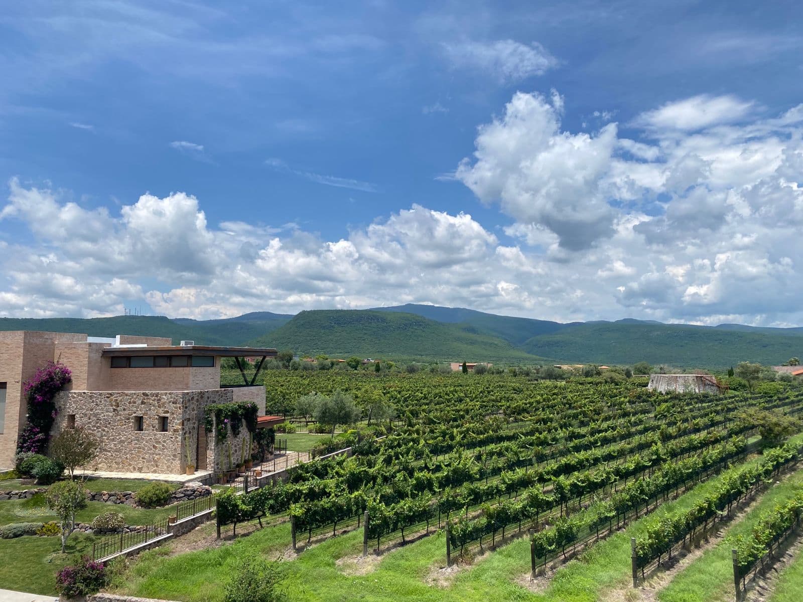Quinta Zarcillo — photo 5 of 10