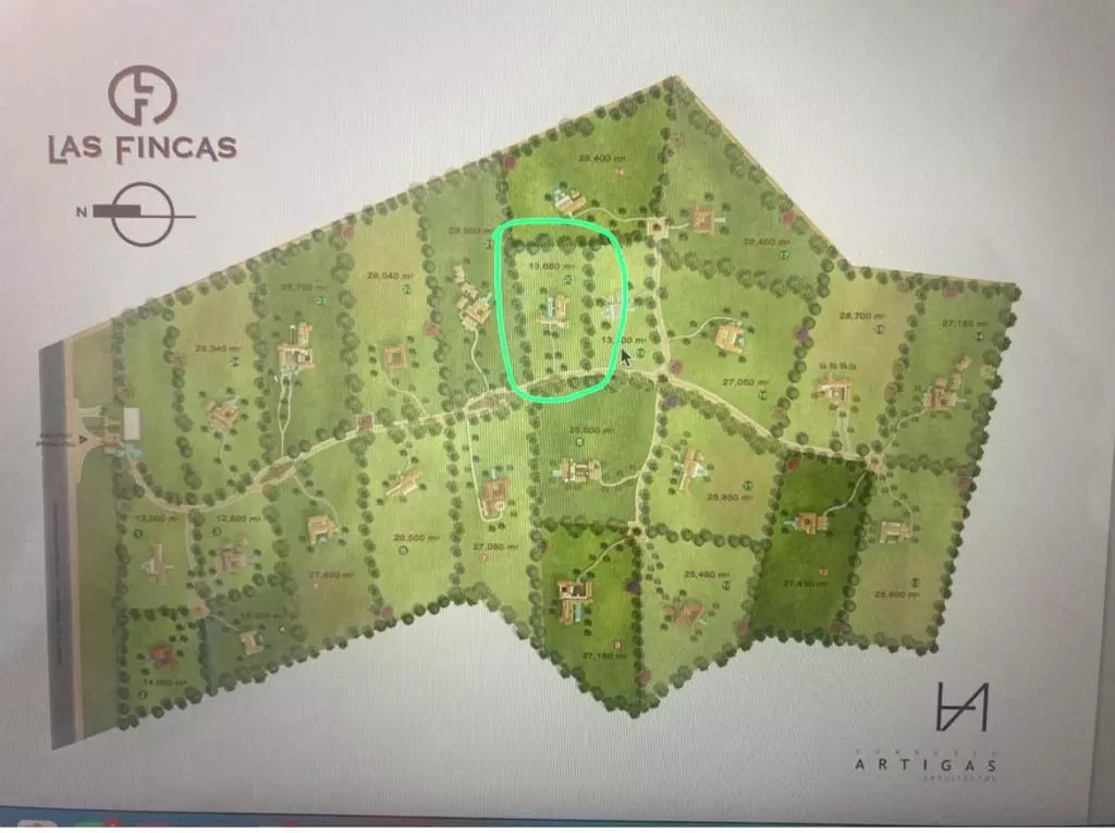 Las Fincas Terreno — photo 4 of 4