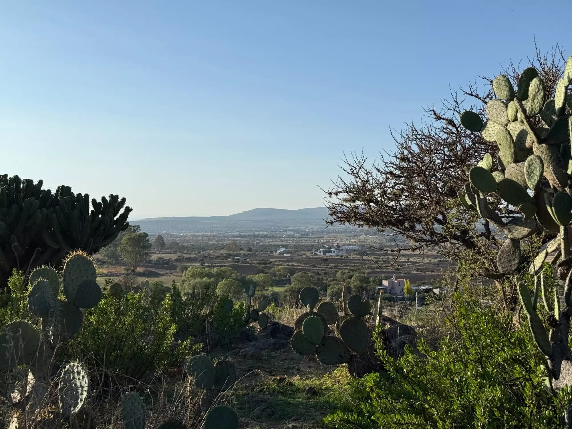 Lote Alcocer — photo 6 of 10