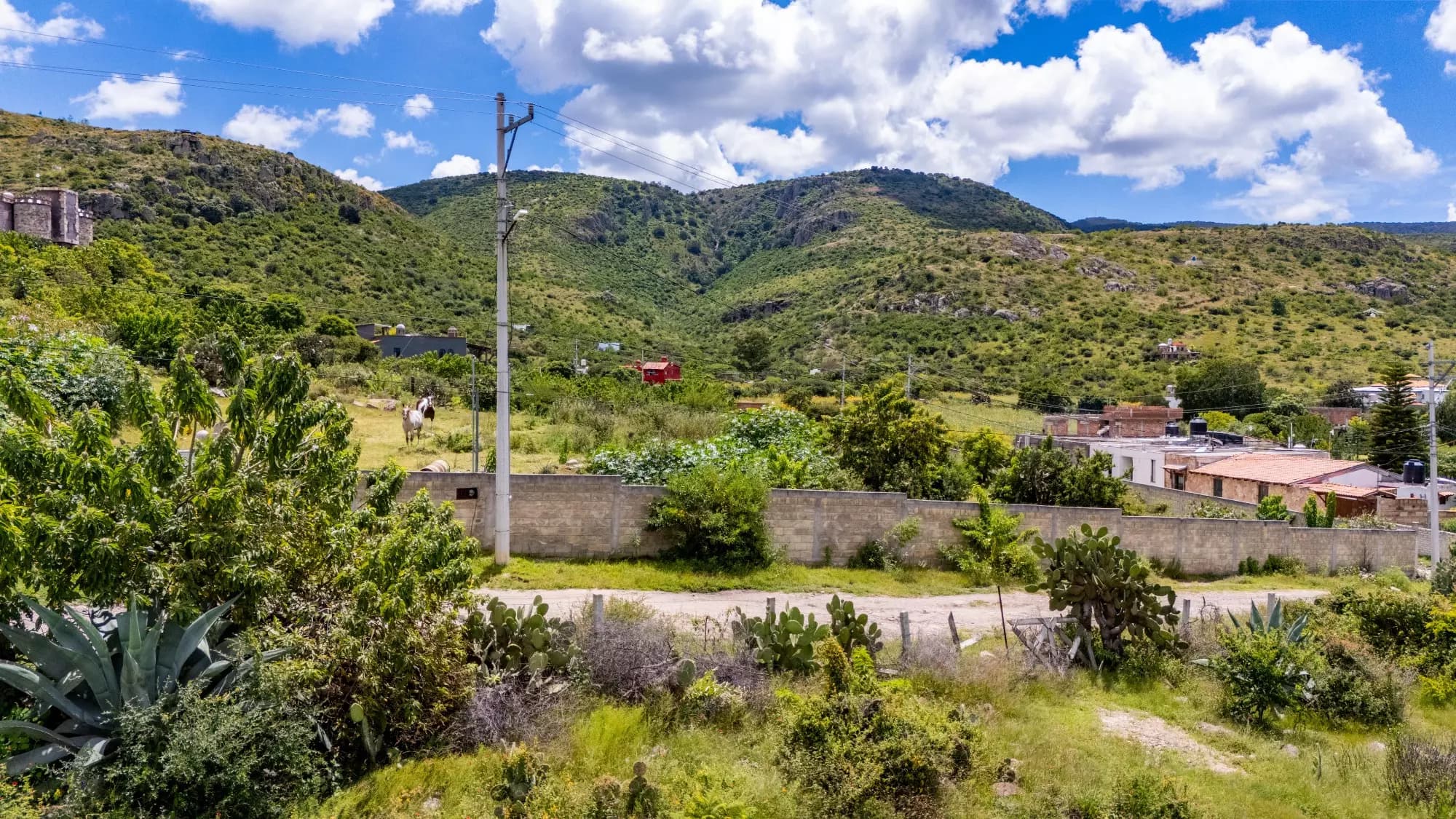 Lote Alcocer — photo 9 of 10