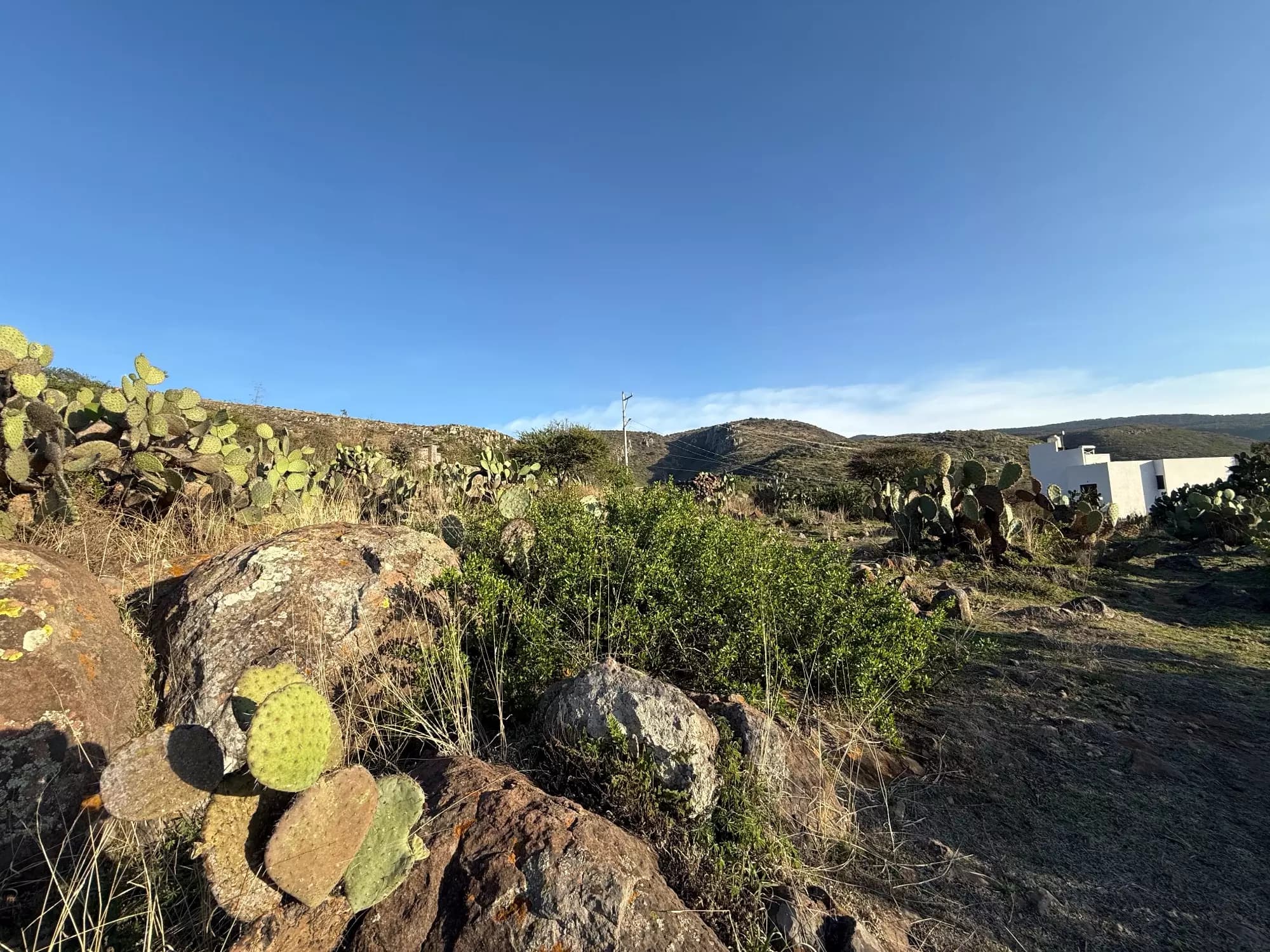 Lote Alcocer — photo 3 of 10