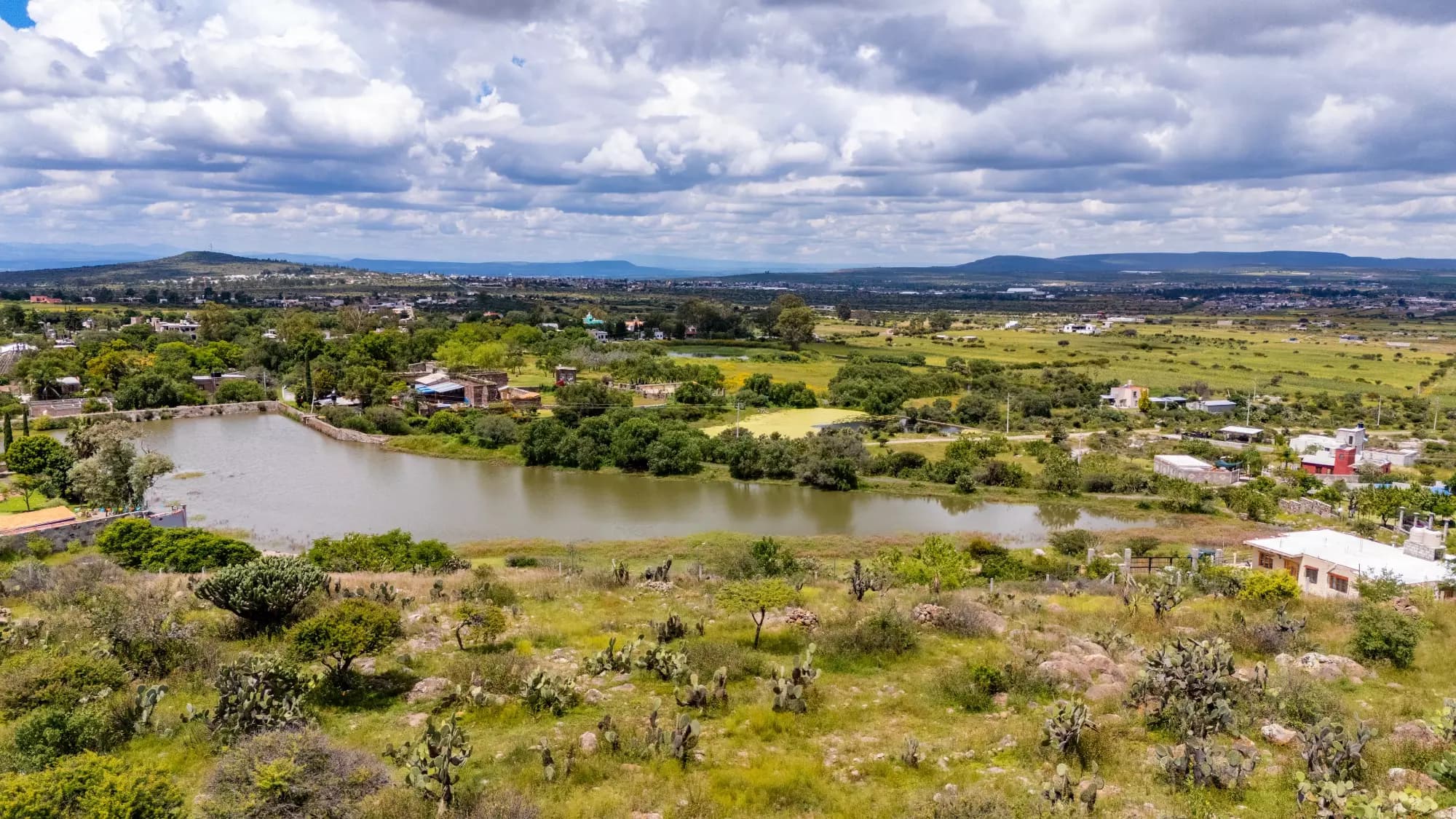Lote Alcocer — photo 8 of 10