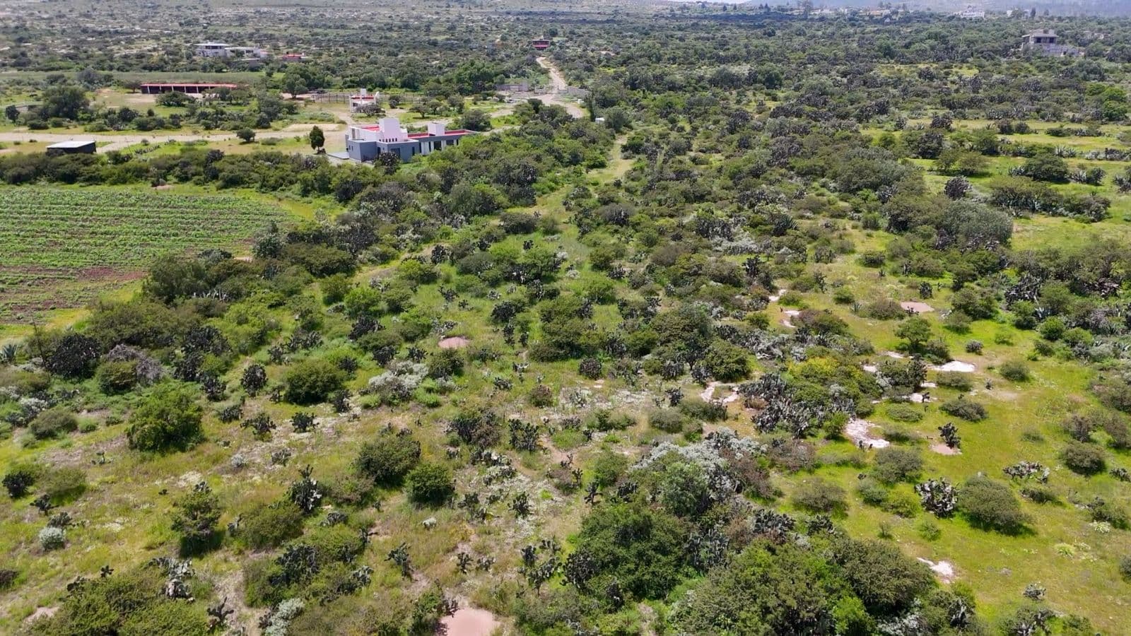 Lot in Mineral de Pozos — photo 6 of 10