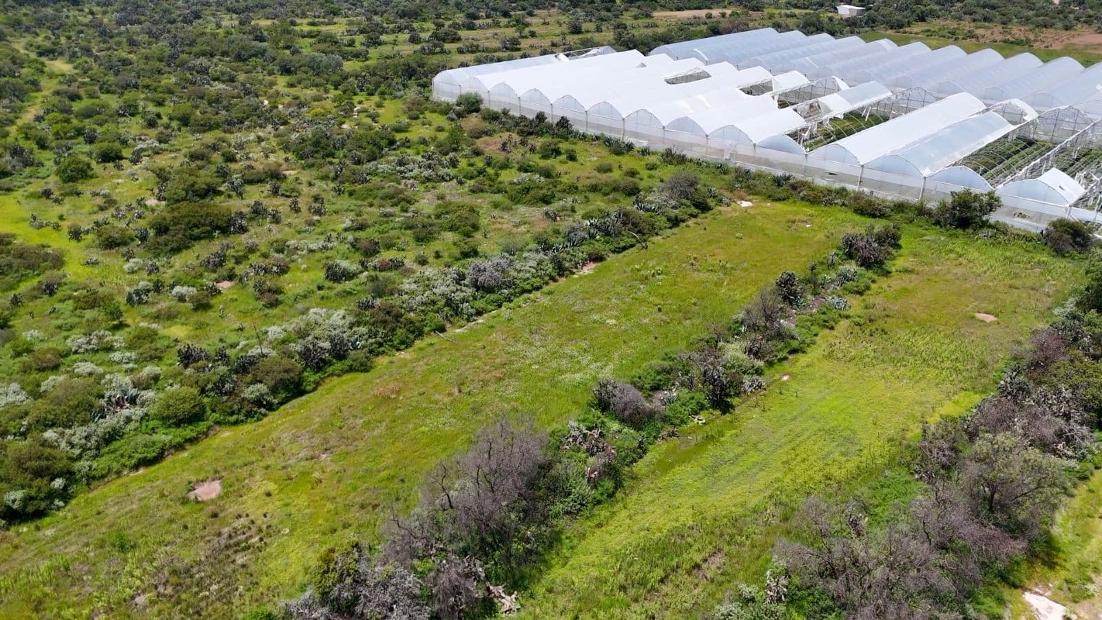 Lot in Mineral de Pozos — photo 5 of 10