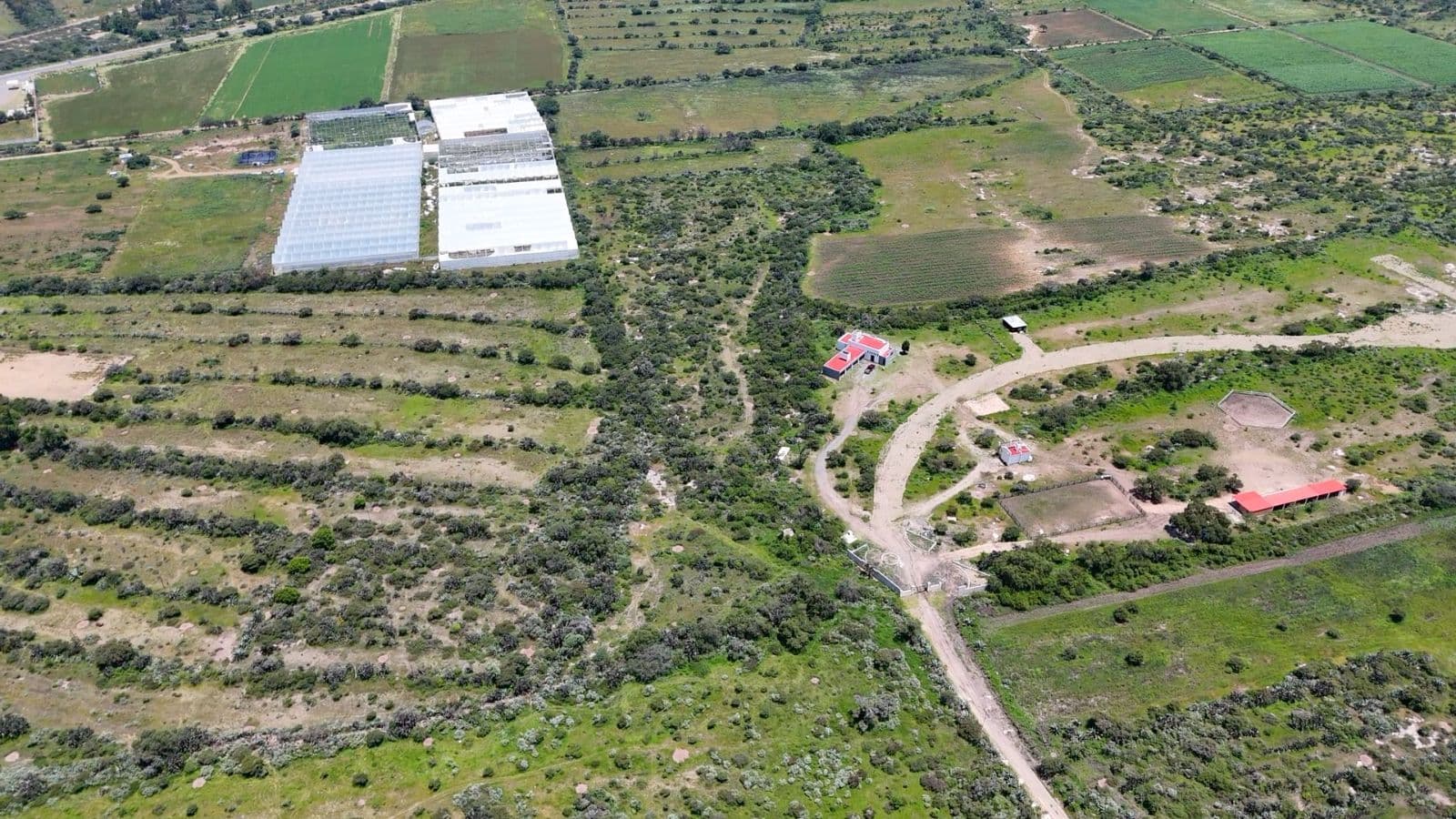 Lot in Mineral de Pozos — photo 8 of 10