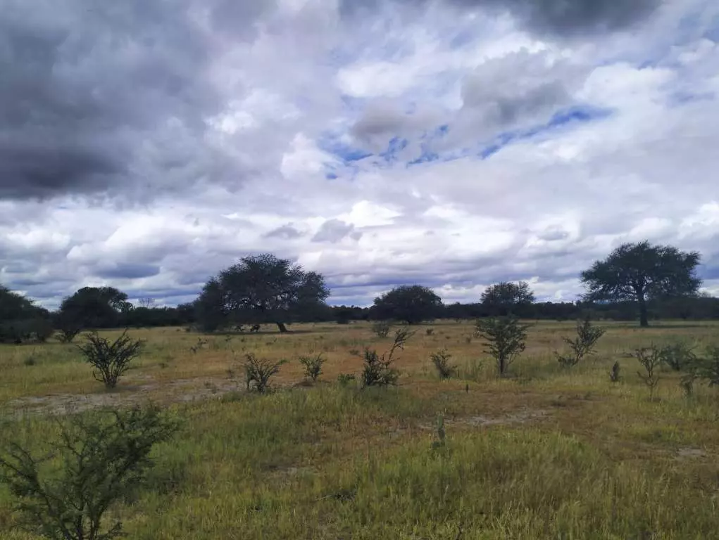 Terreno El Huizachal — photo 2 of 10