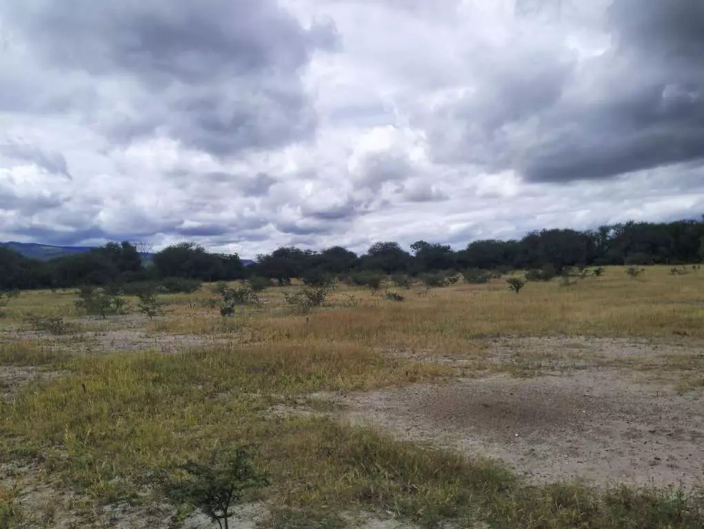 Terreno El Huizachal — photo 3 of 10