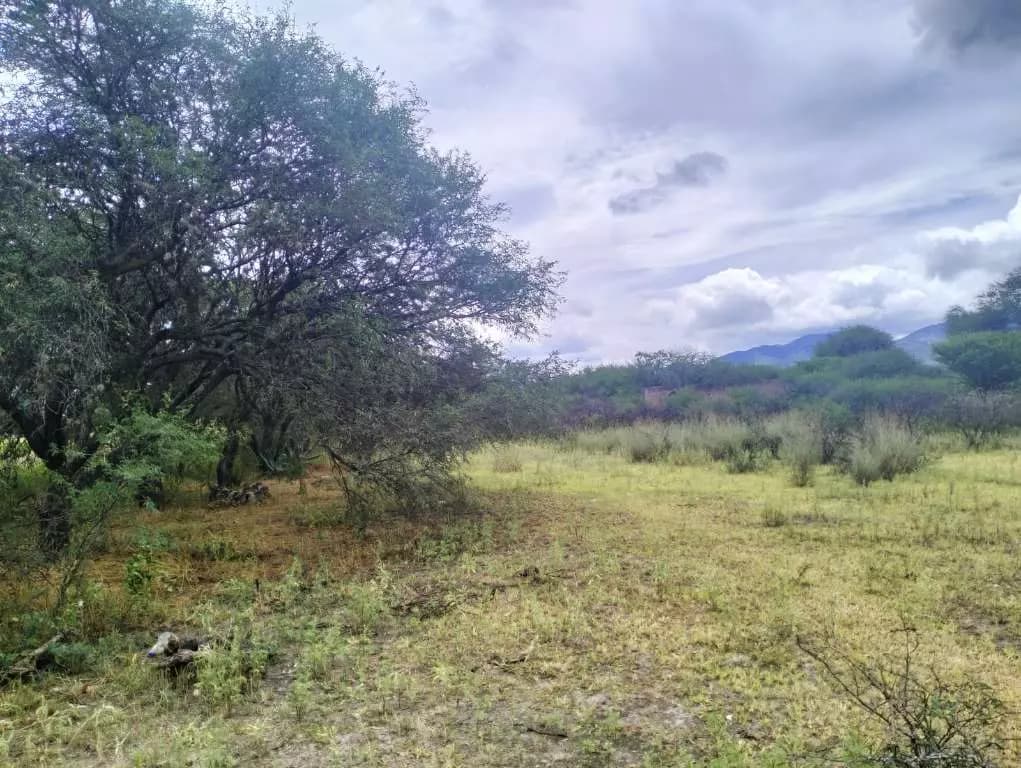 Terreno El Huizachal — photo 5 of 10