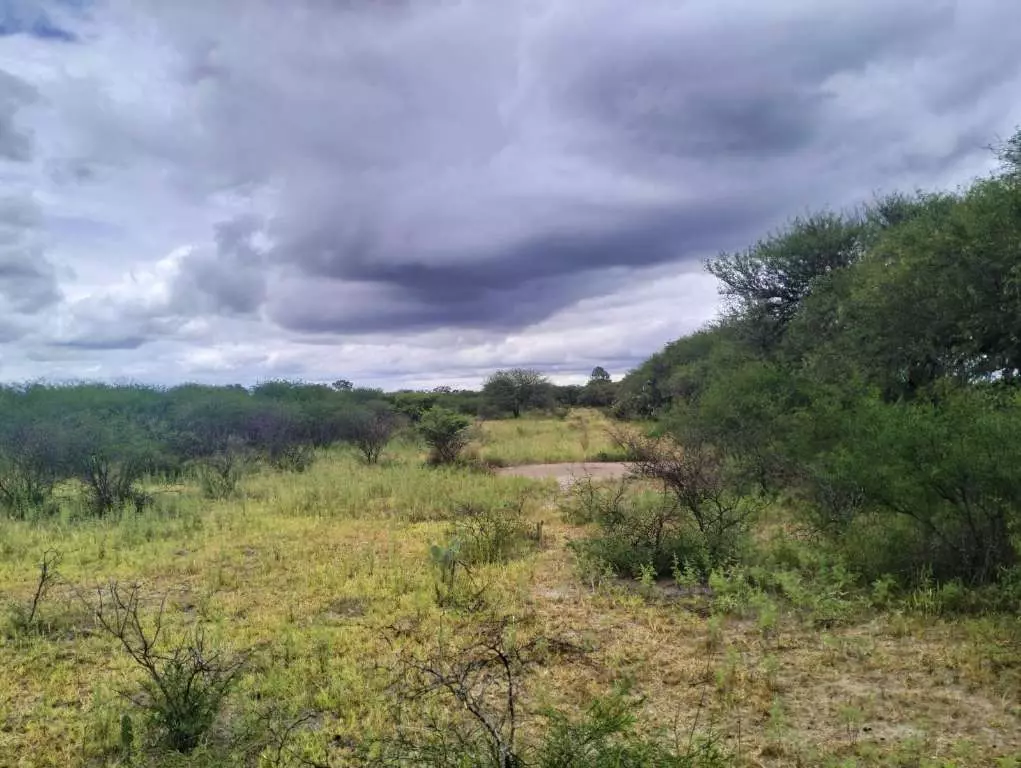 Terreno El Huizachal — photo 6 of 10