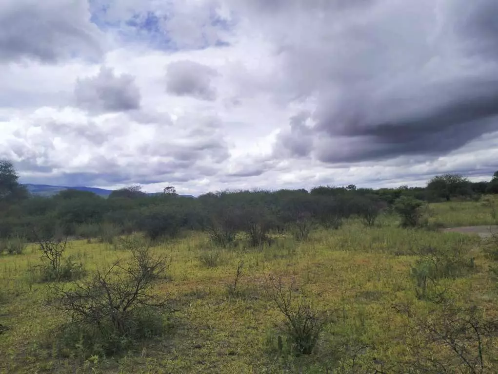 Terreno El Huizachal — photo 7 of 10