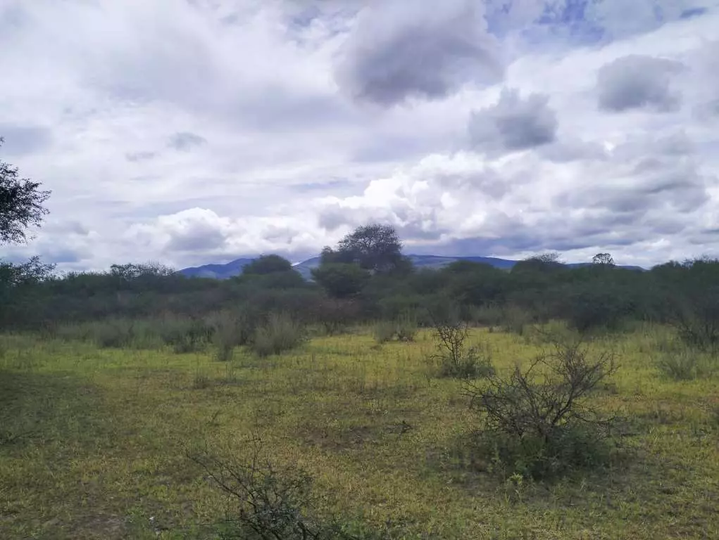 Terreno El Huizachal — photo 8 of 10