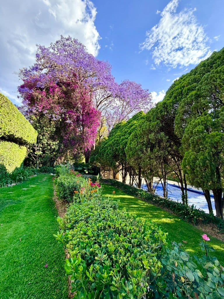 Estate Lot in Los Remedios Vineyard — photo 5 of 10
