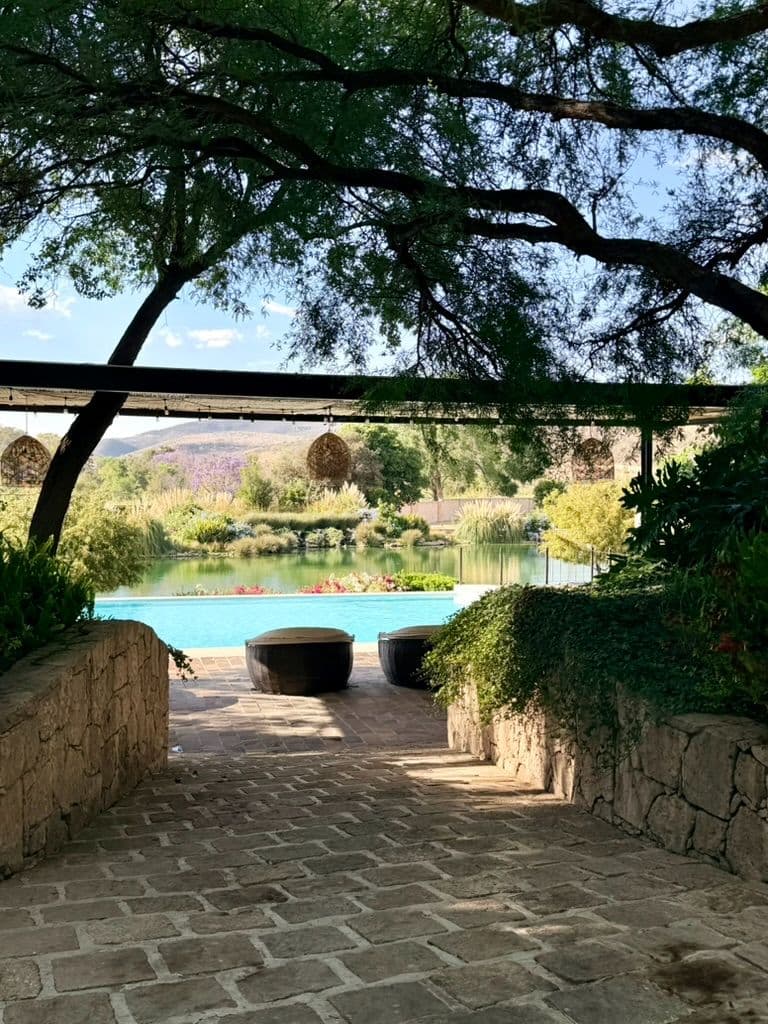 Estate Lot in Los Remedios Vineyard — photo 2 of 10