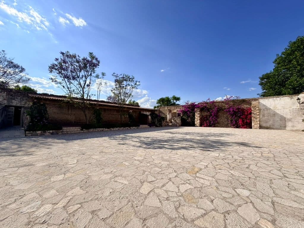 Estate Lot in Los Remedios Vineyard — photo 10 of 10