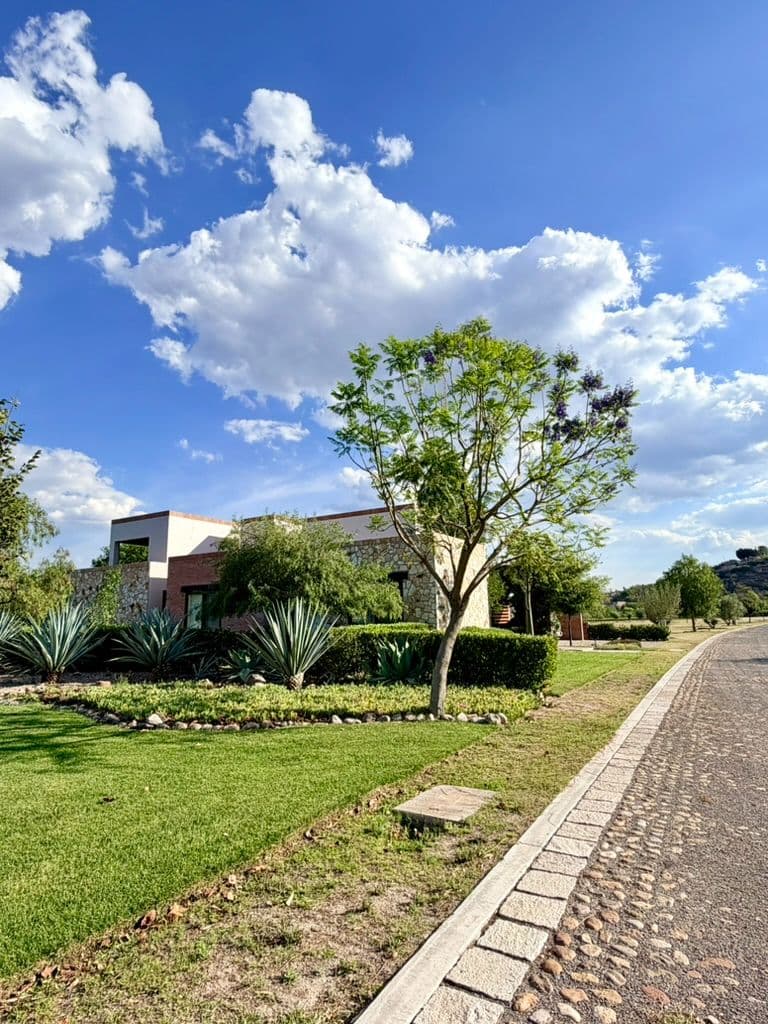Estate Lot in Los Remedios Vineyard — photo 8 of 10