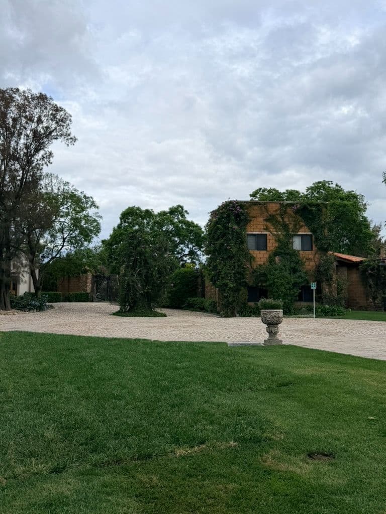 Estate Lot in Los Remedios Vineyard — photo 7 of 10