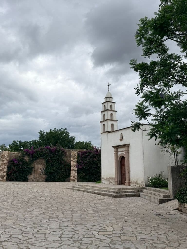 Estate Lot in Los Remedios Vineyard — photo 6 of 10