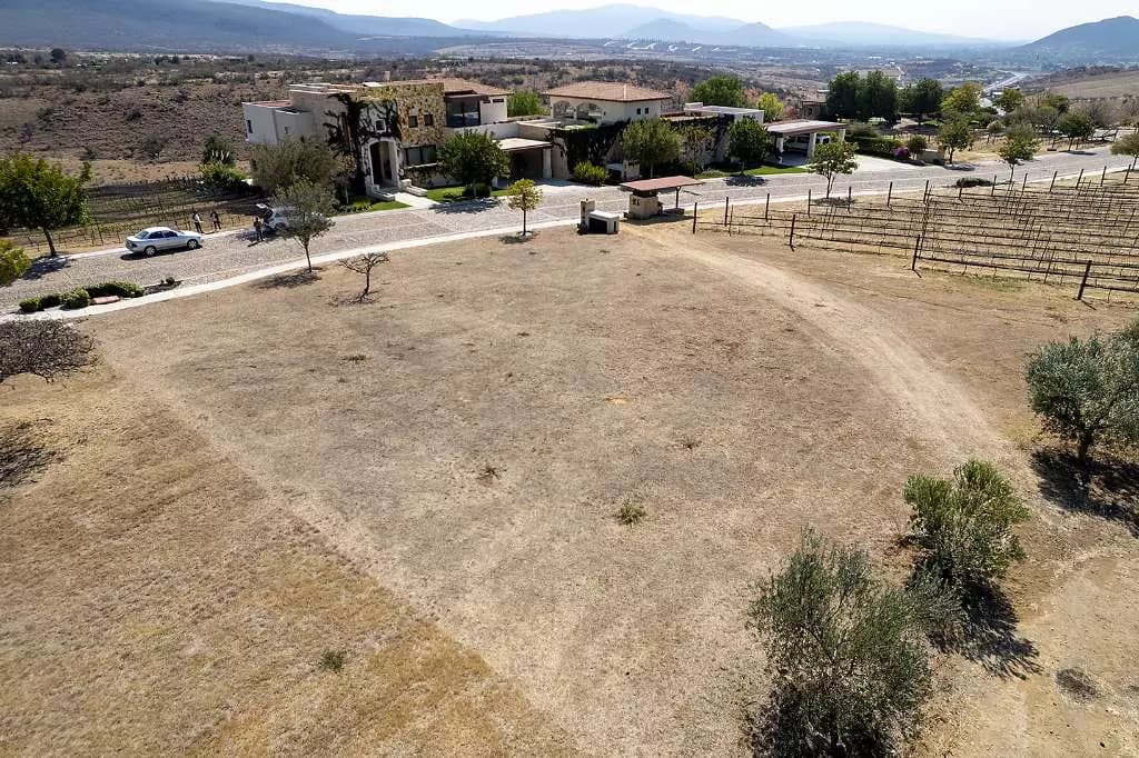 Lote Merlot — photo 7 of 9