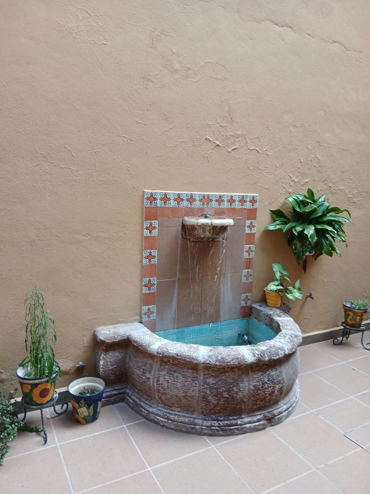 Casa & Terreno Palomas — photo 4 of 10