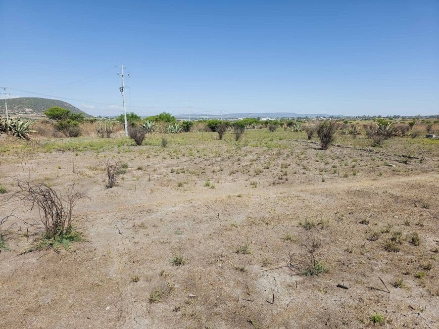 Hectare on Jalpa Road — photo 7 of 8