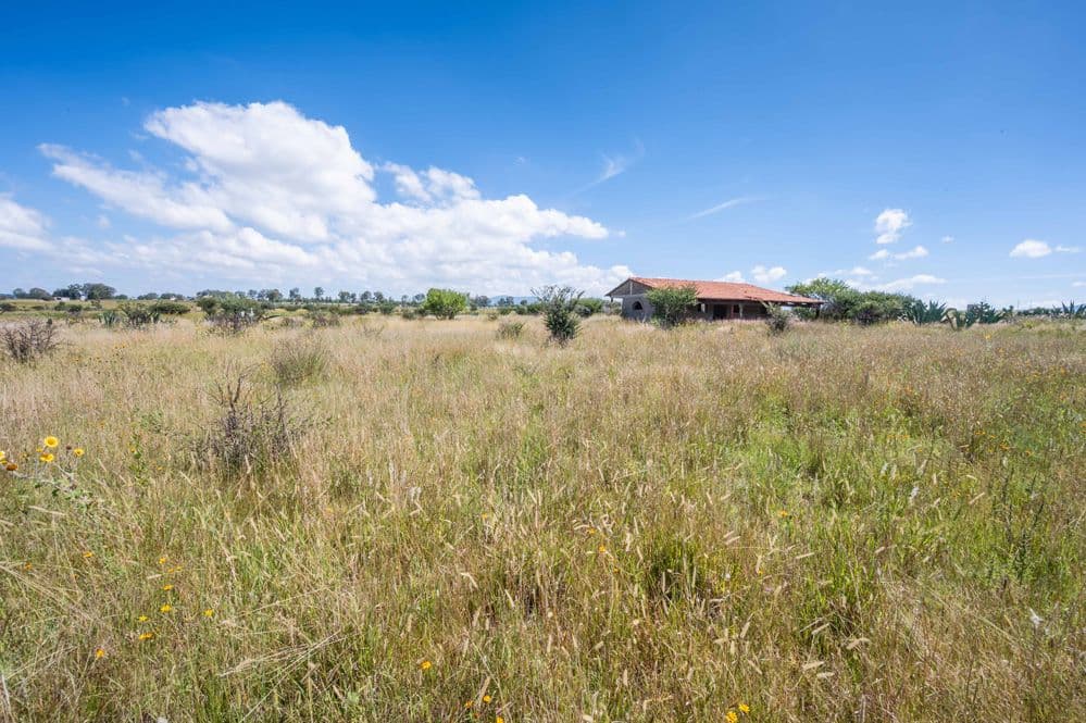 Hectare on Jalpa Road — photo 10 of 10