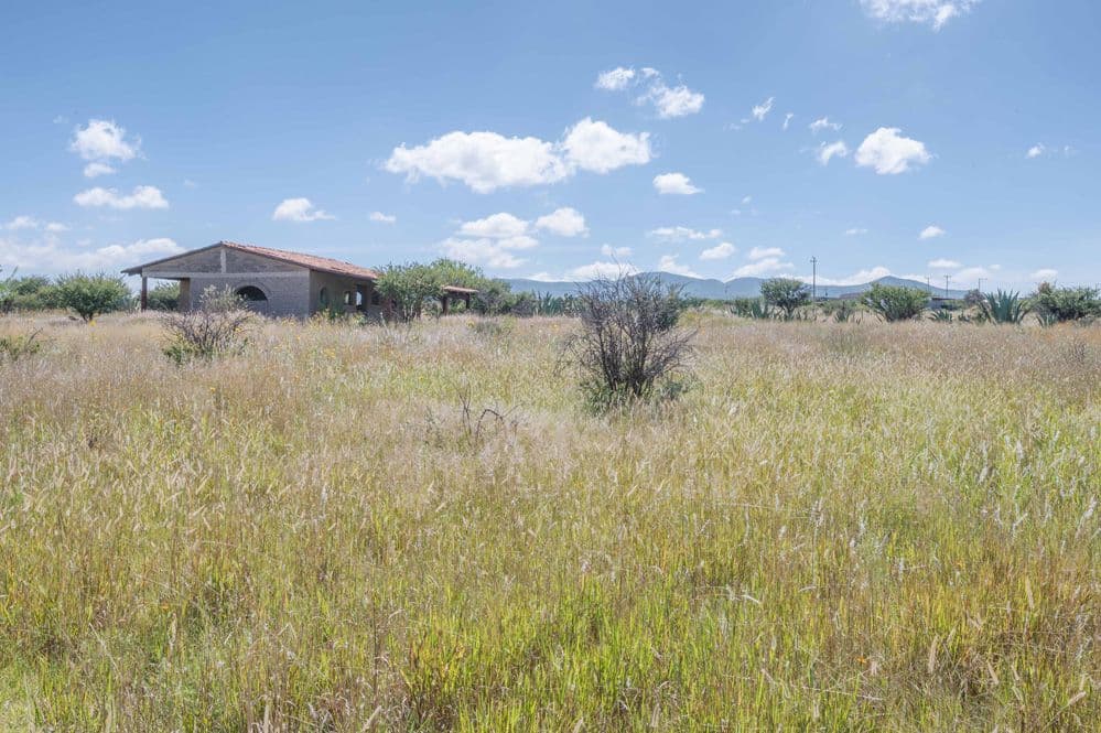 Hectare on Jalpa Road — photo 9 of 10