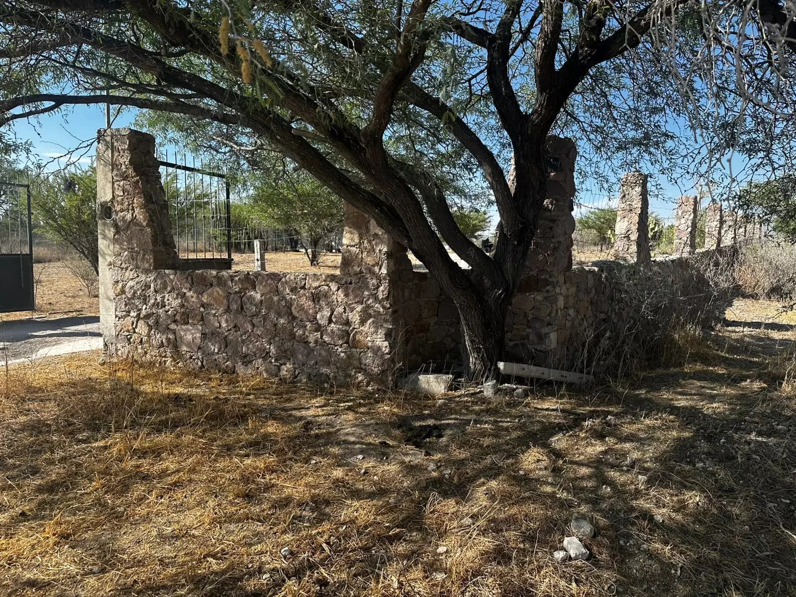 Thermal Water Land Plot in La Cieneguita — photo 6 of 10