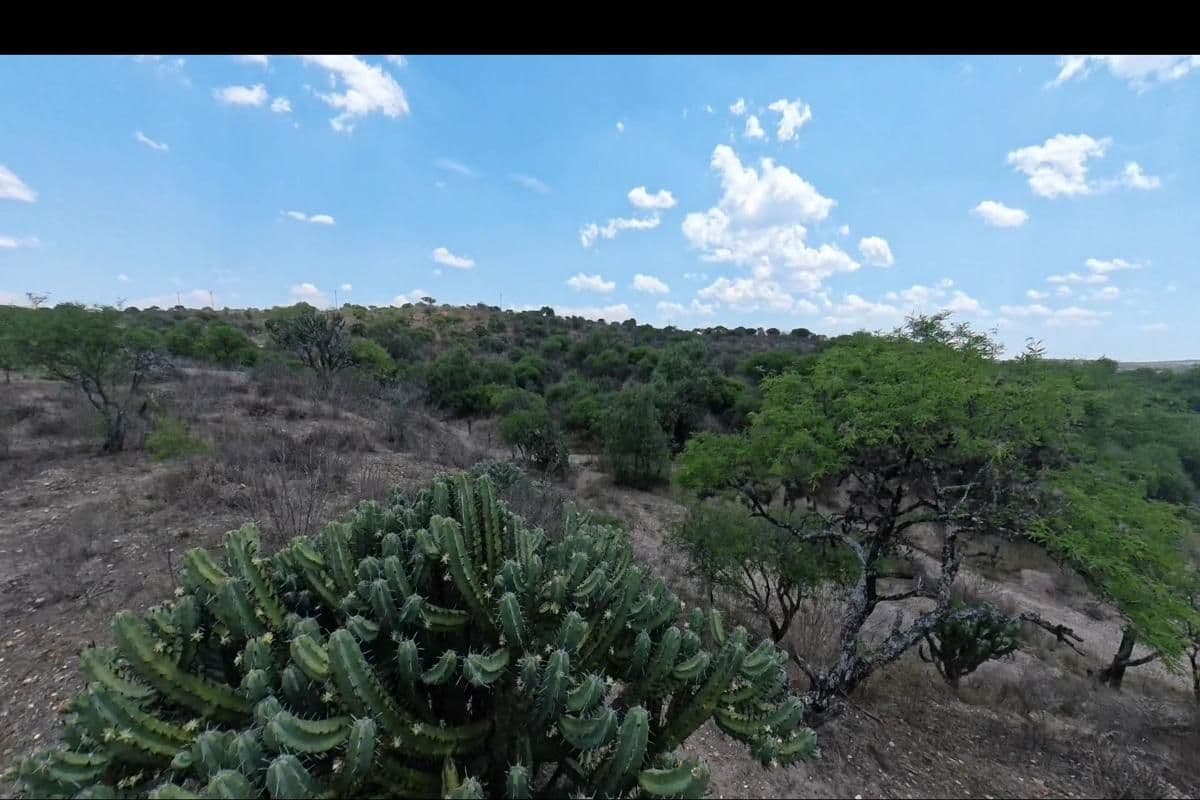 1912 Rancho La Encantada — photo 6 of 10