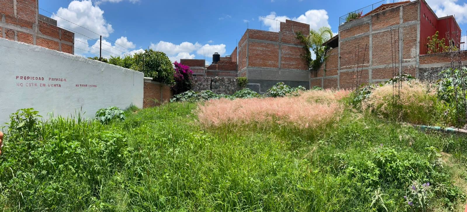 Terreno en "Ignacio Cruces" — photo 4 of 5