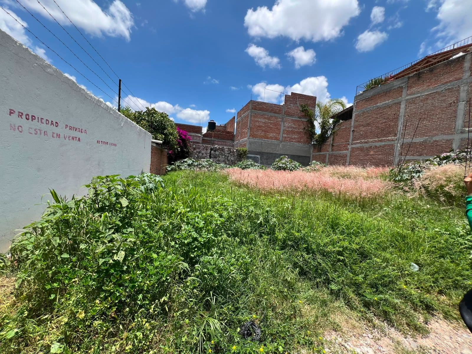 Terreno en "Ignacio Cruces" — photo 3 of 5