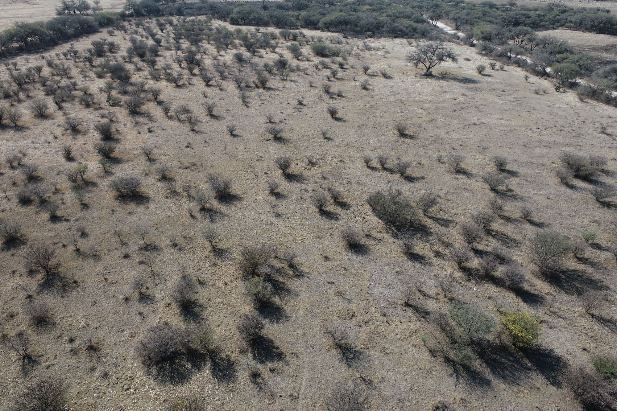 Country Lot at Banda Oaxaca y Rancho Nuevo — photo 10 of 10