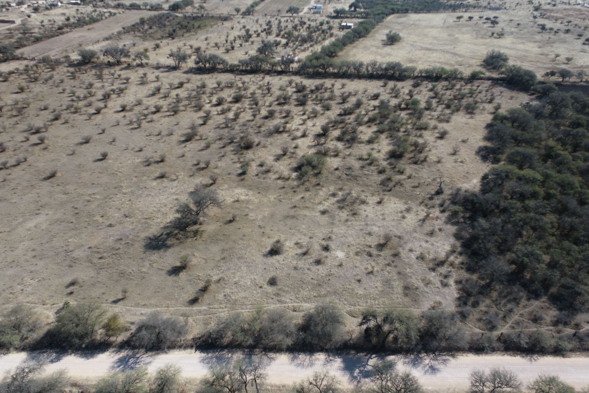 Country Lot at Banda Oaxaca y Rancho Nuevo — photo 5 of 10