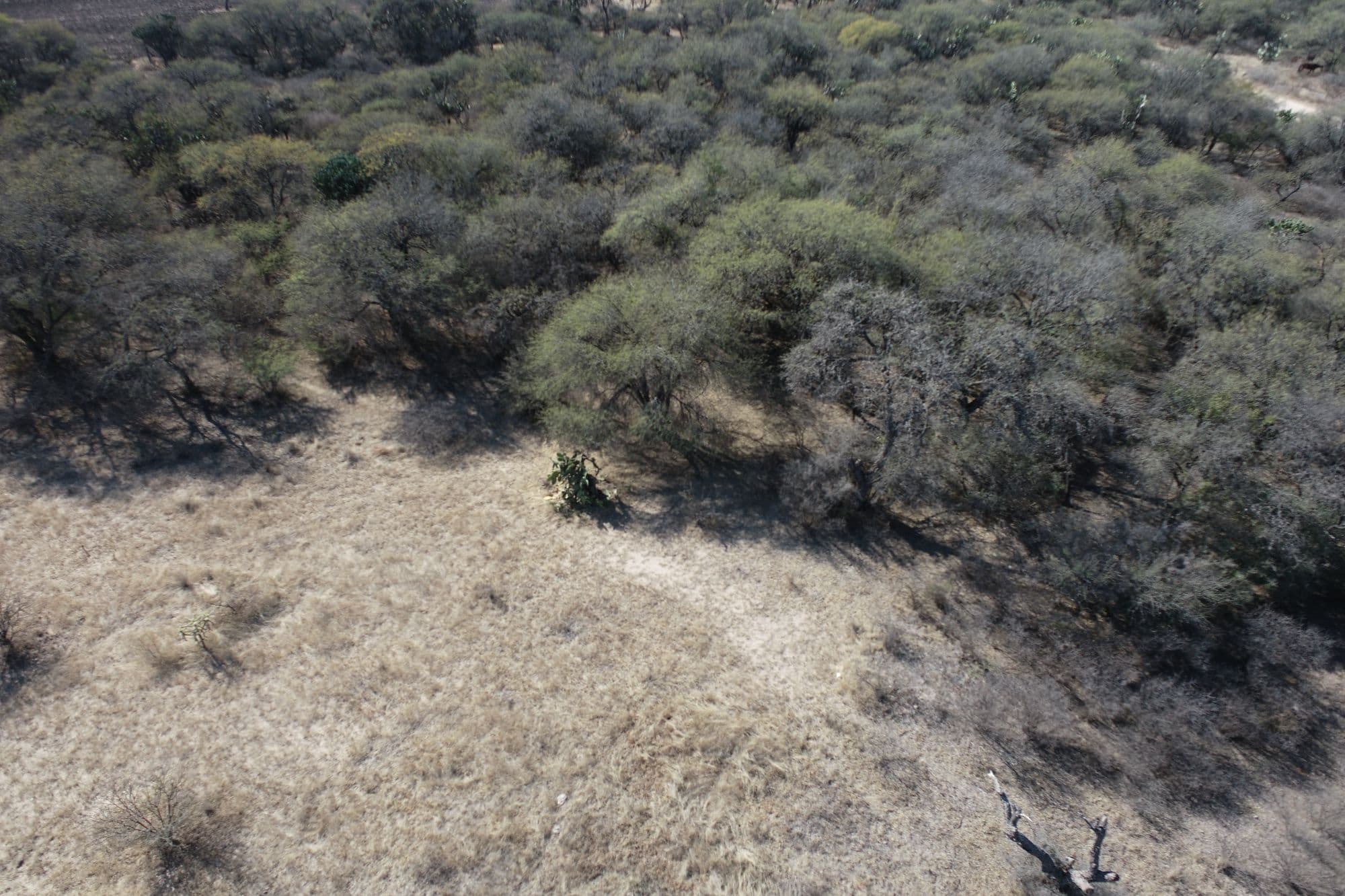 Country Lot at Banda Oaxaca y Rancho Nuevo — photo 9 of 10