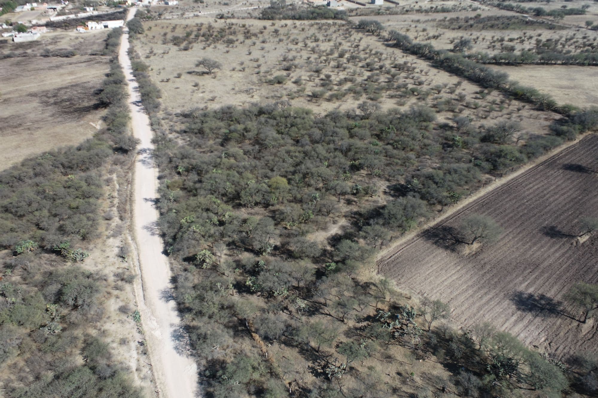 Country Lot at Banda Oaxaca y Rancho Nuevo — photo 7 of 10