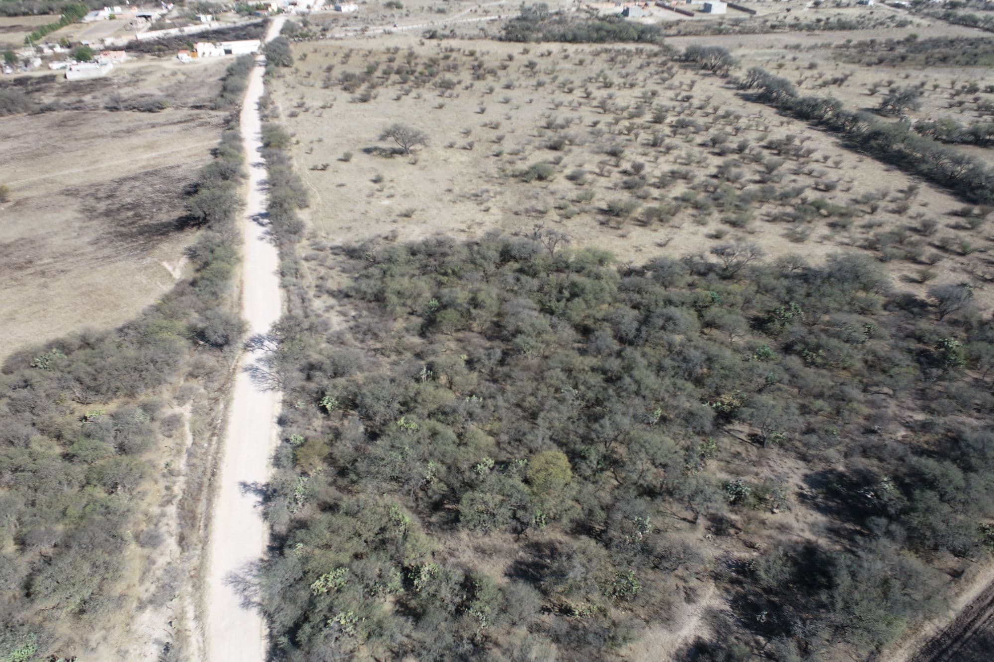 Country Lot at Banda Oaxaca y Rancho Nuevo — photo 8 of 10