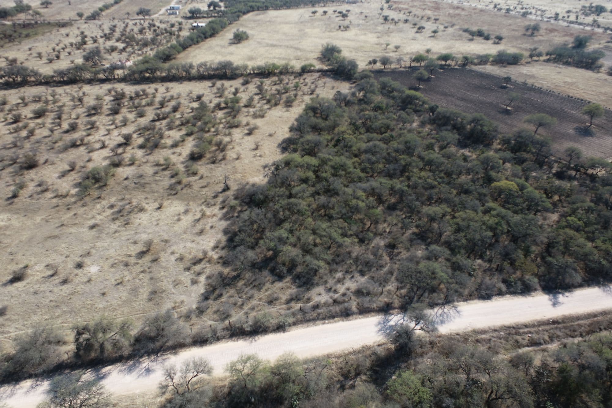Country Lot at Banda Oaxaca y Rancho Nuevo — photo 6 of 10