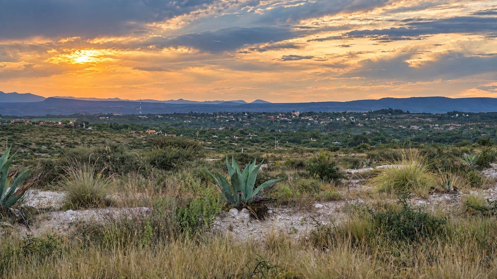 Lote Los Ranchos — photo 3 of 10