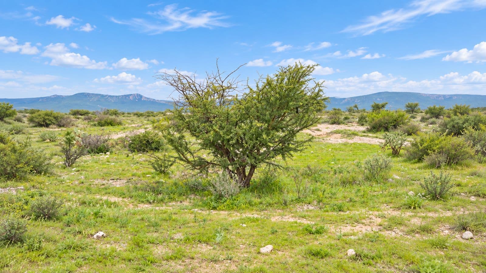 Lote Los Ranchos — photo 6 of 10