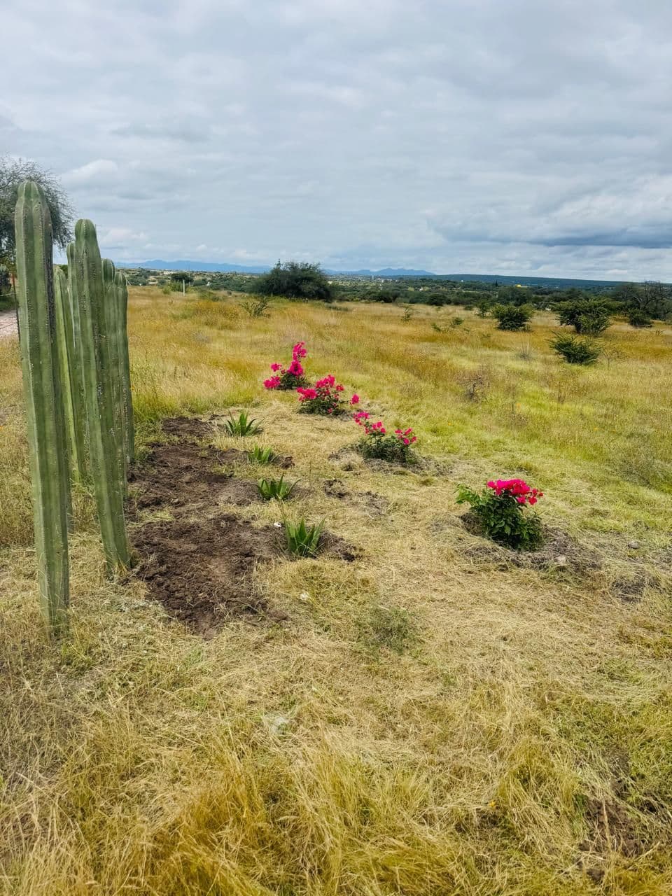 Rancho Banda Oaxaca — photo 9 of 9
