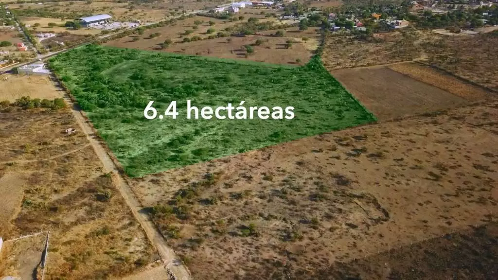 Rancho Los Organos 6.4 Ha — photo 3 of 5