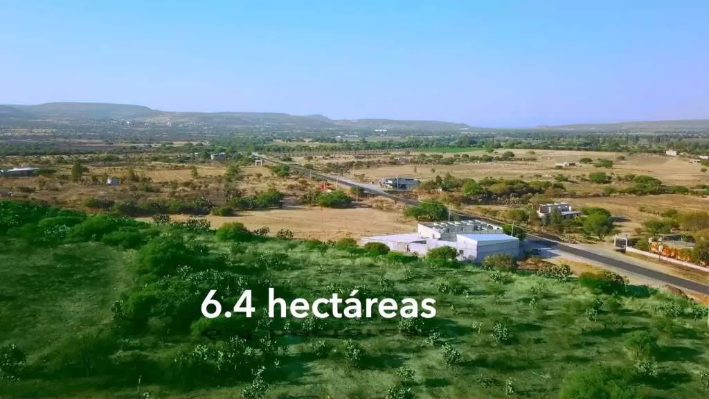 Rancho Los Organos 6.4 Ha — photo 4 of 5
