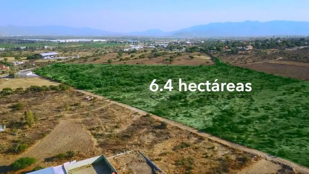 Rancho Los Organos 6.4 Ha — photo 5 of 5