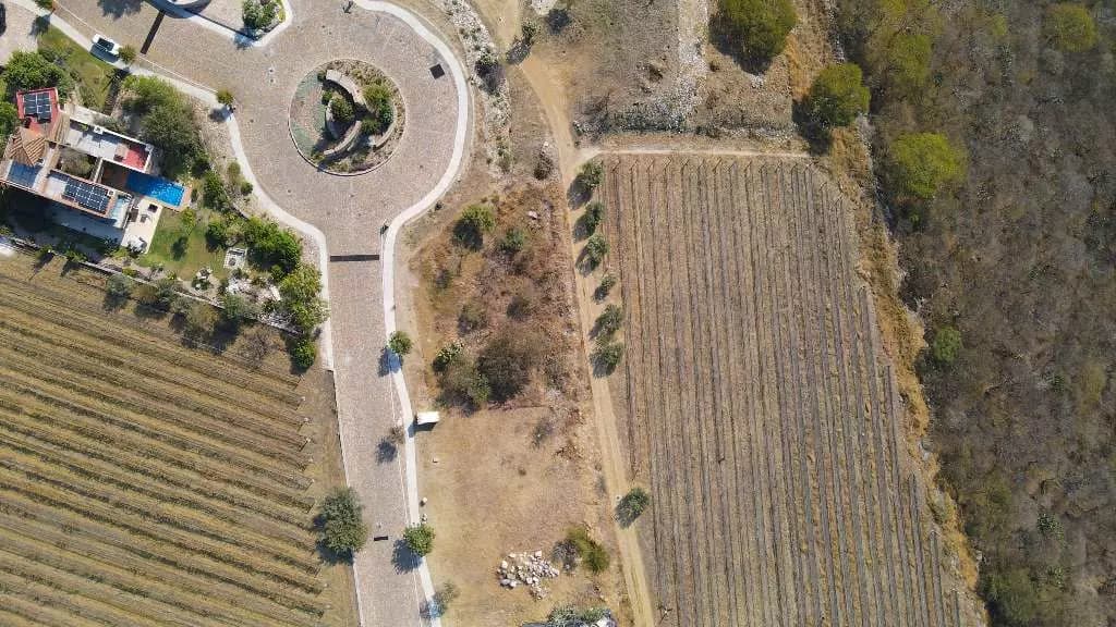 Lot Cabernet — photo 3 of 10