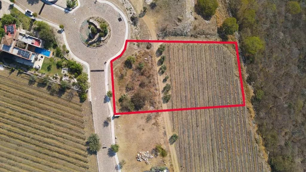 Lot Cabernet — photo 5 of 10