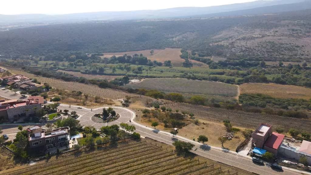 Lot Cabernet — photo 6 of 10