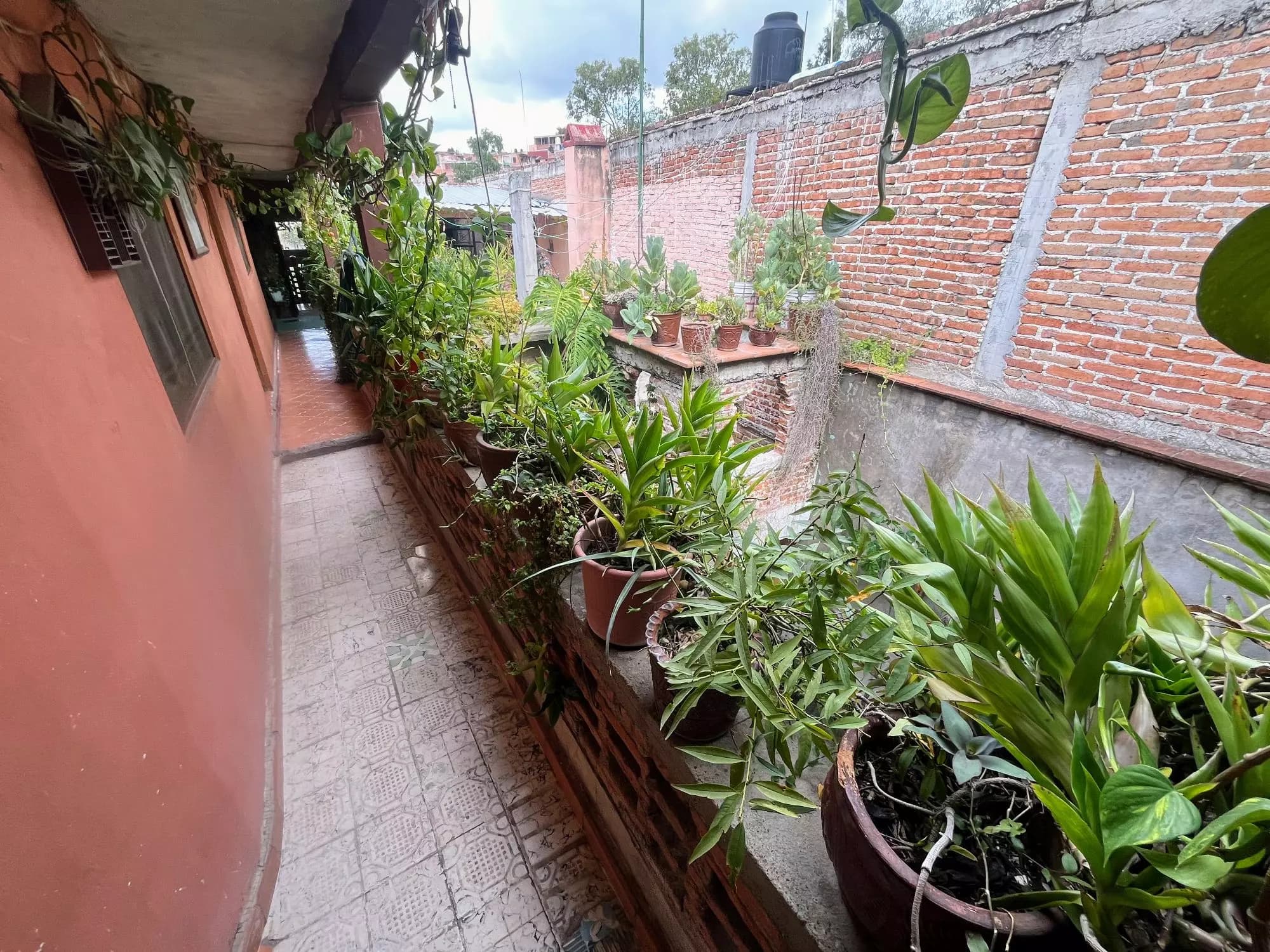 Calzada de La luz 71 — photo 8 of 10