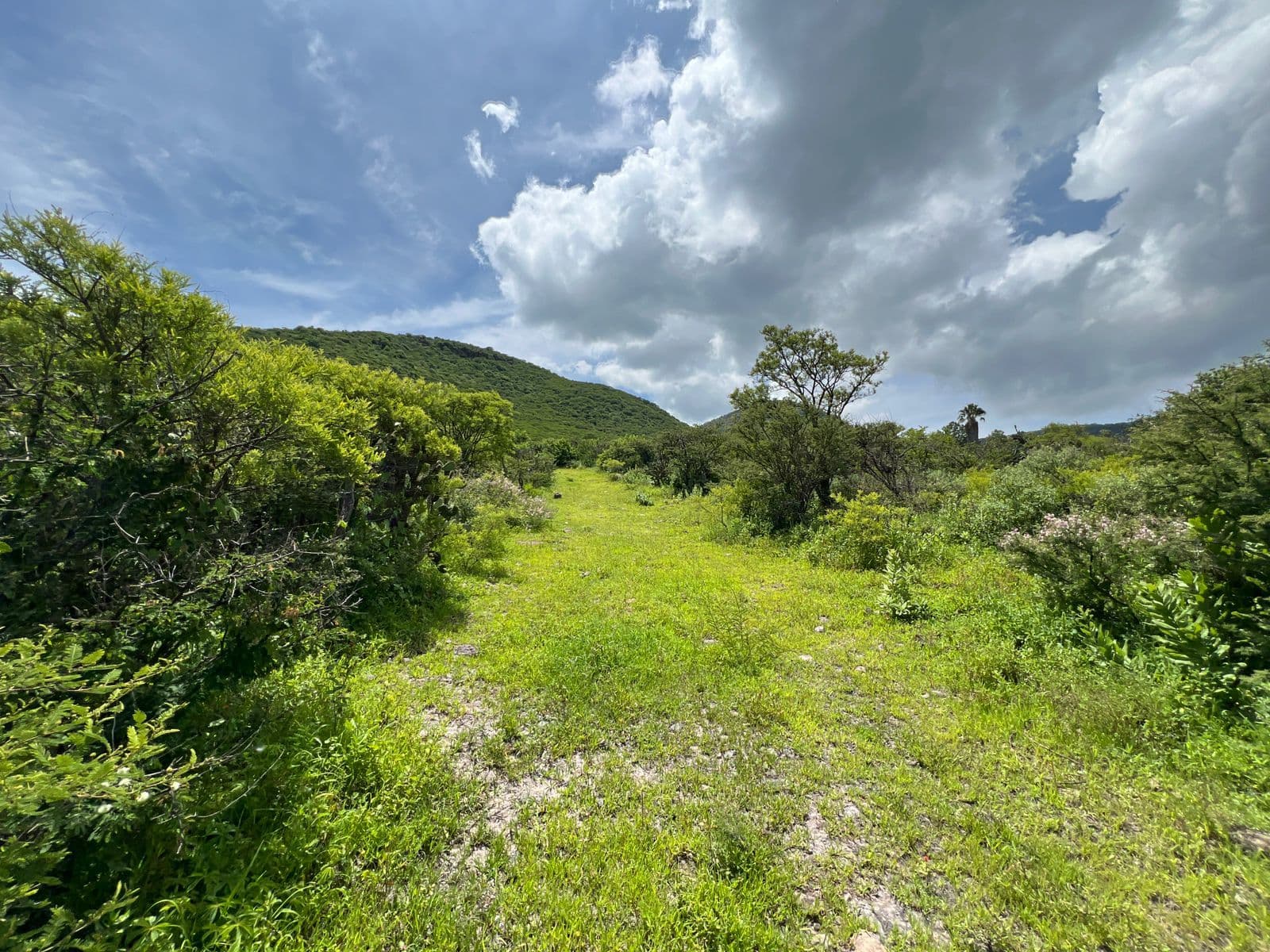 Terreno en "Estancia de la Canal" — photo 6 of 9
