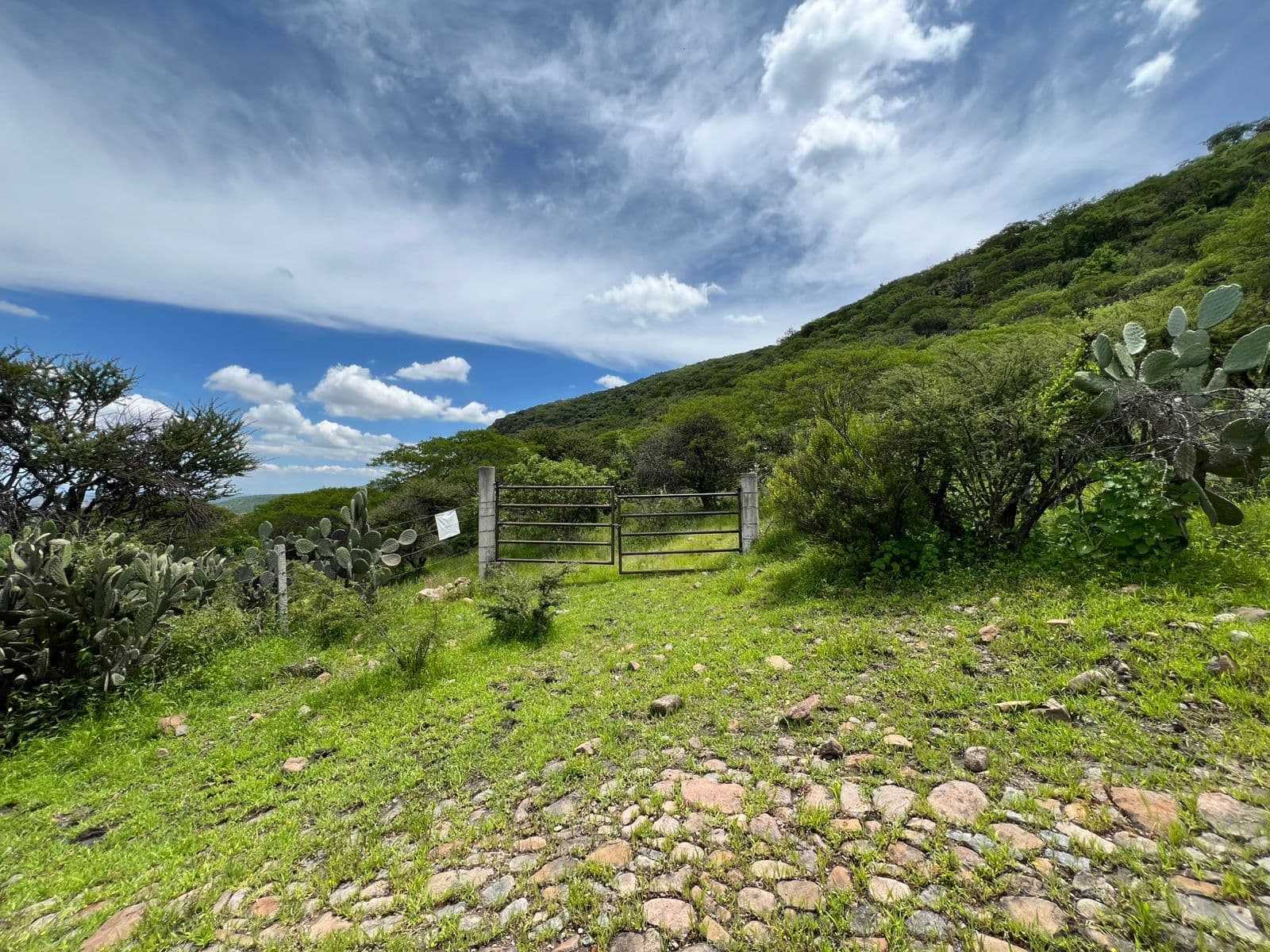 Terreno en "Estancia de la Canal" — photo 9 of 9
