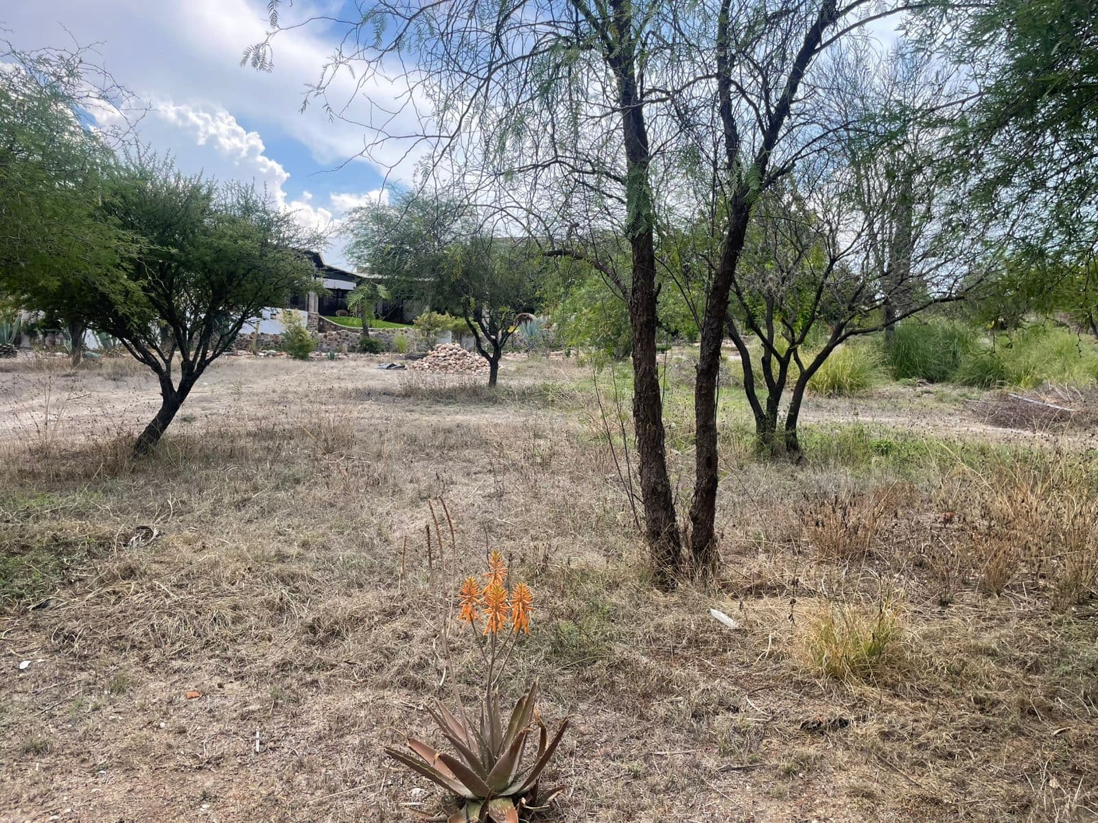 Lote Los Labradores — photo 5 of 10