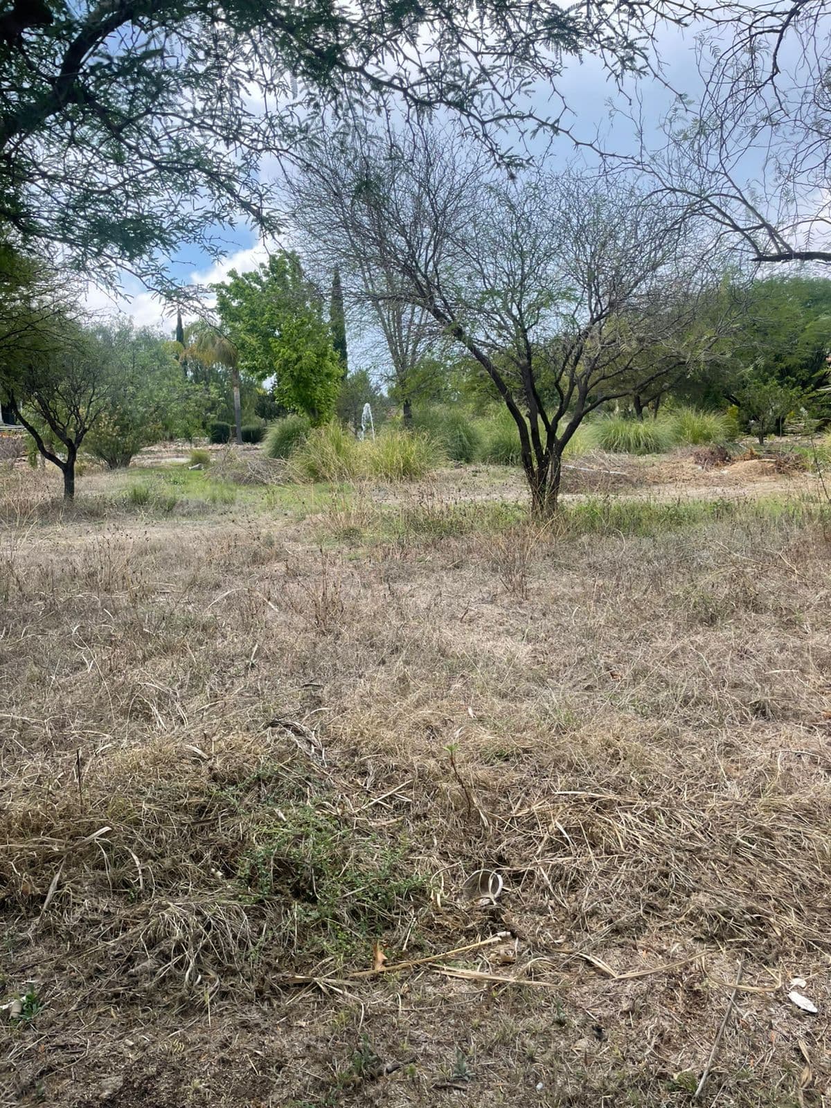 Lote Los Labradores — photo 4 of 10